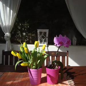 Apartment Ii, Pula